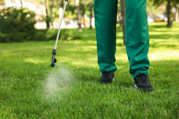 Best Emergency Pest Control  in Wheaton, MN