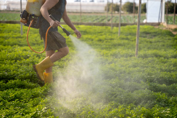 Best Pest Control Cost  in Wheaton, MN