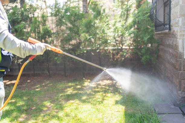 Best Pest Removal Services  in Wheaton, MN