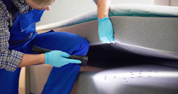 Best Exterminator Services  in Wheaton, MN