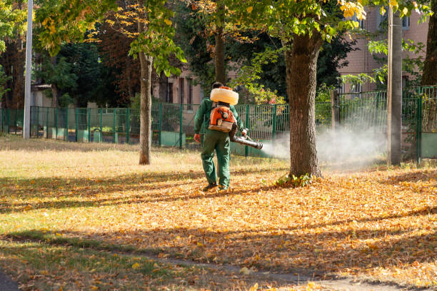 Professional Pest Control in Wheaton, MN