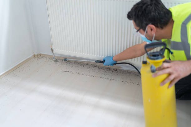 Best Cockroach Control Services  in Wheaton, MN